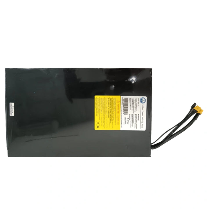 ONECNA Electric Scooter Battery